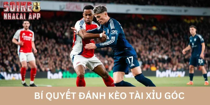 Những mẹo đánh kèo tài xỉu phạt góc hiệu quả