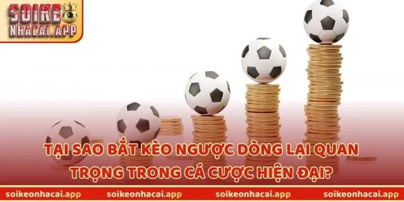 Tại sao bắt kèo ngược dòng lại quan trọng trong cá cược hiện đại?