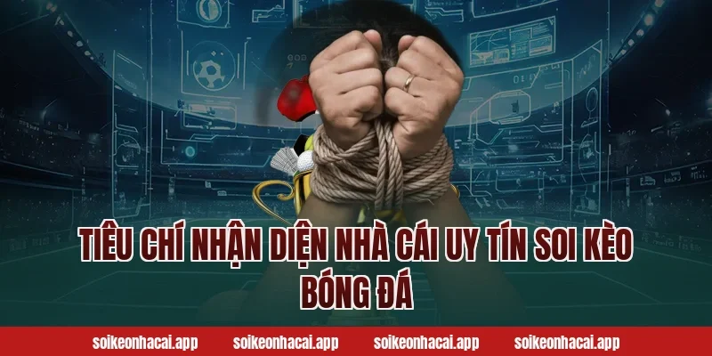 Tiêu chí nhận diện nhà cái uy tín soi kèo bóng đá